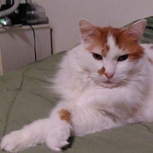 Meet your Posher, Nancy